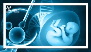 پیش از درمان ناباروری، یک گام طلایی را فراموش نکنید!